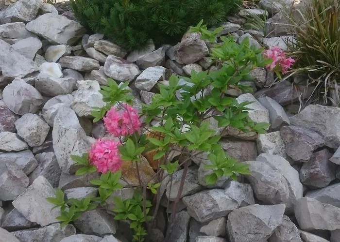 Apartman Ferienoase Engel