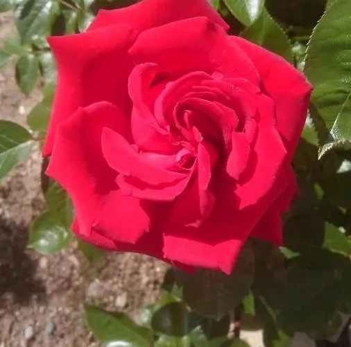 Apartman Ferienoase Engel